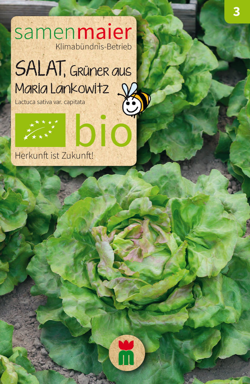  BIO Beet-Box "Gute Nachbarn" [MHD 12/2024]