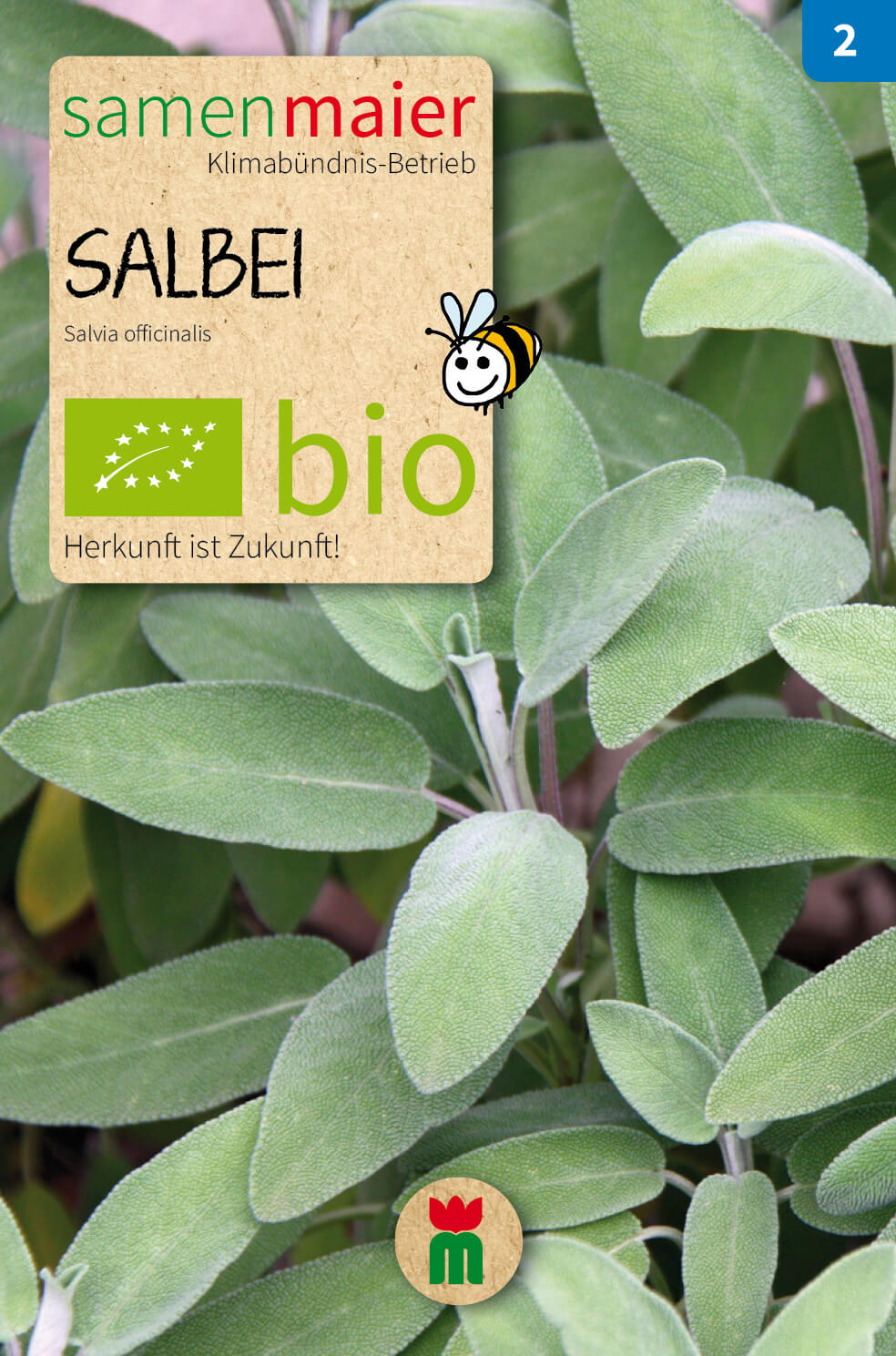  BIO Beet-Box "Für Hobby-Franzosen" [MHD 12/2023]
