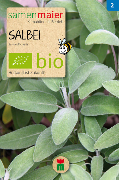  BIO Beet-Box "Für Hobby-Franzosen" [MHD 12/2023]