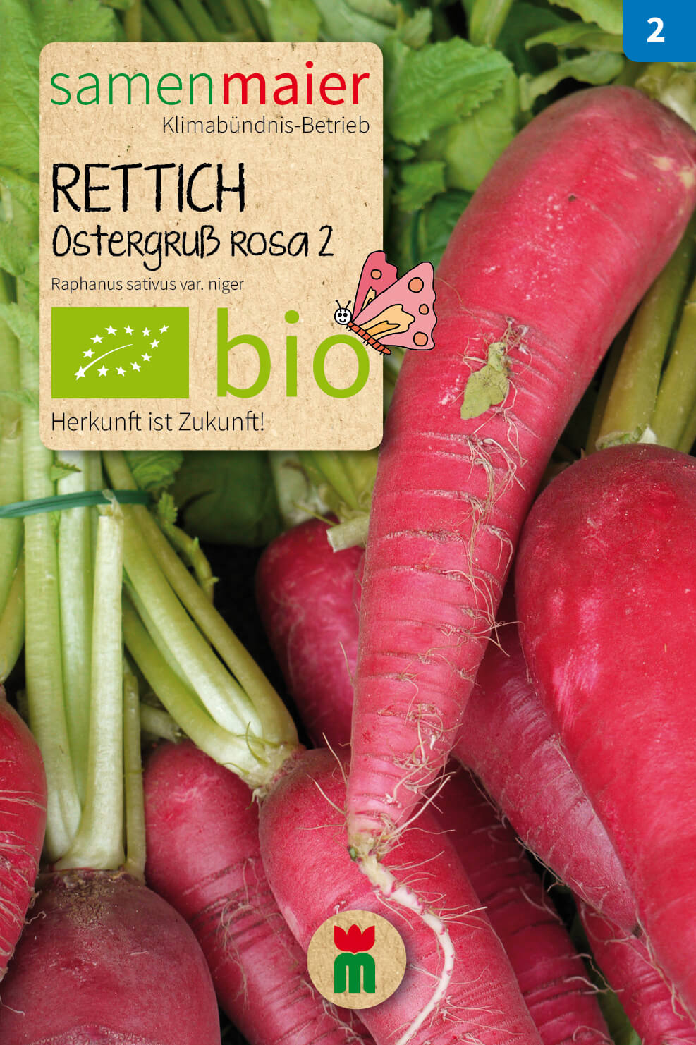  BIO Beet-Box "Jausenbox"
