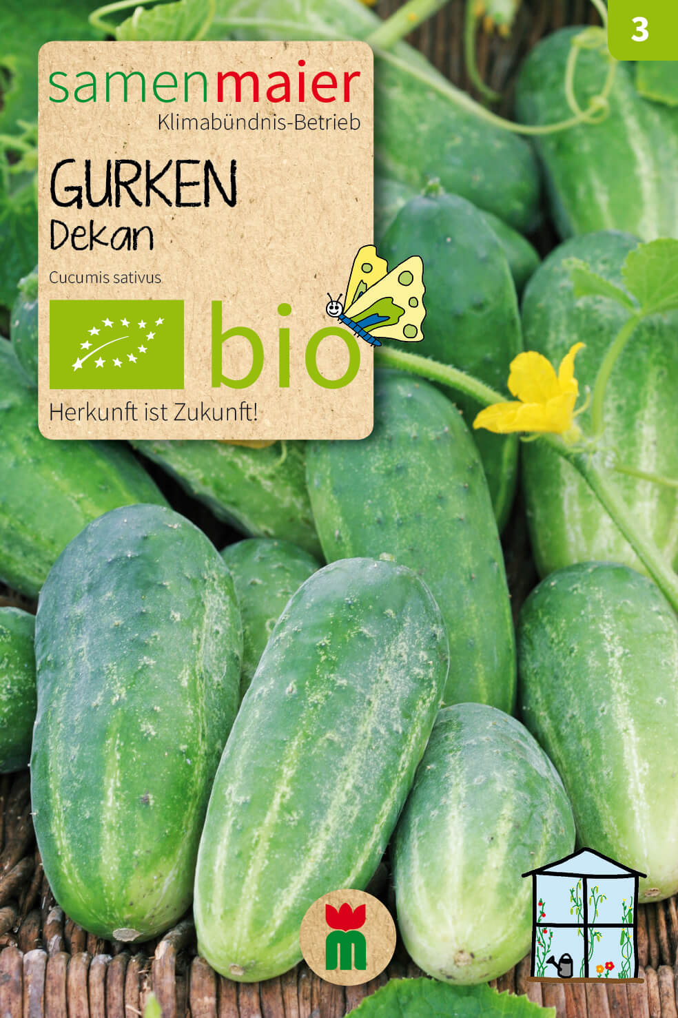  BIO Beet-Box "Für Balkonien-Urlauber"