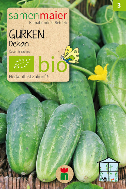  BIO Beet-Box "Für Balkonien-Urlauber"