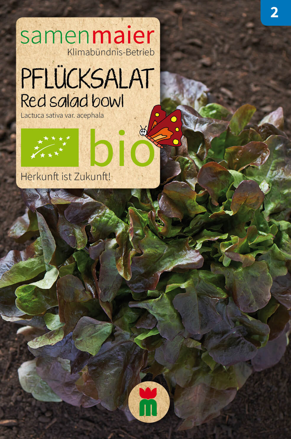  BIO Beet-Box "Für Balkonien-Urlauber"