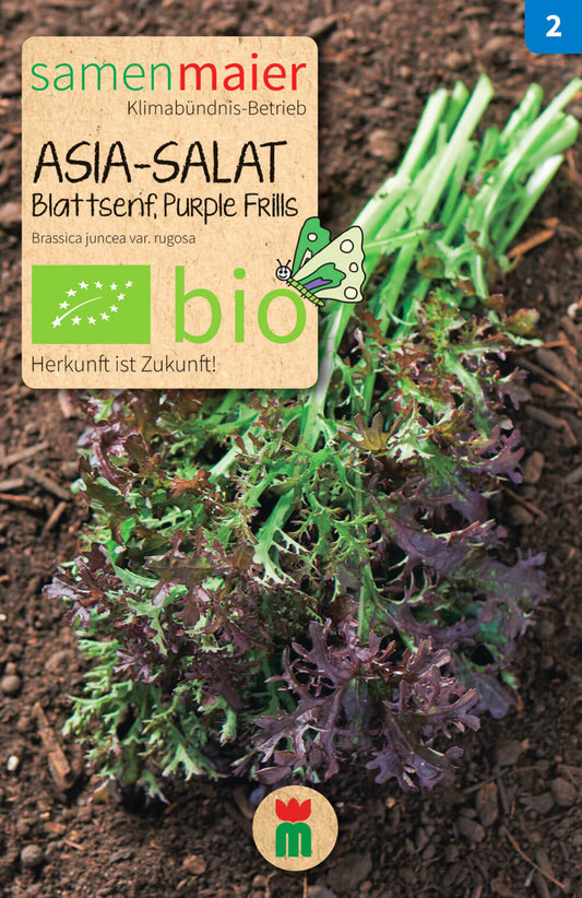  BIO Beet-Box "Für Die Gartenfee" [MHD 12/2023]