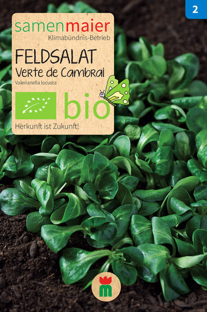  BIO Beet-Box "Für Smoothie-Maker" [MHD 12/2025]