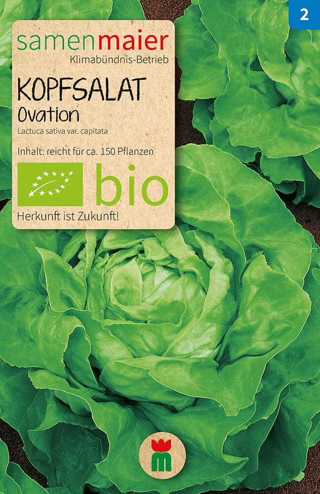  BIO Beet-Box "Für Smoothie-Maker" [MHD 12/2025]