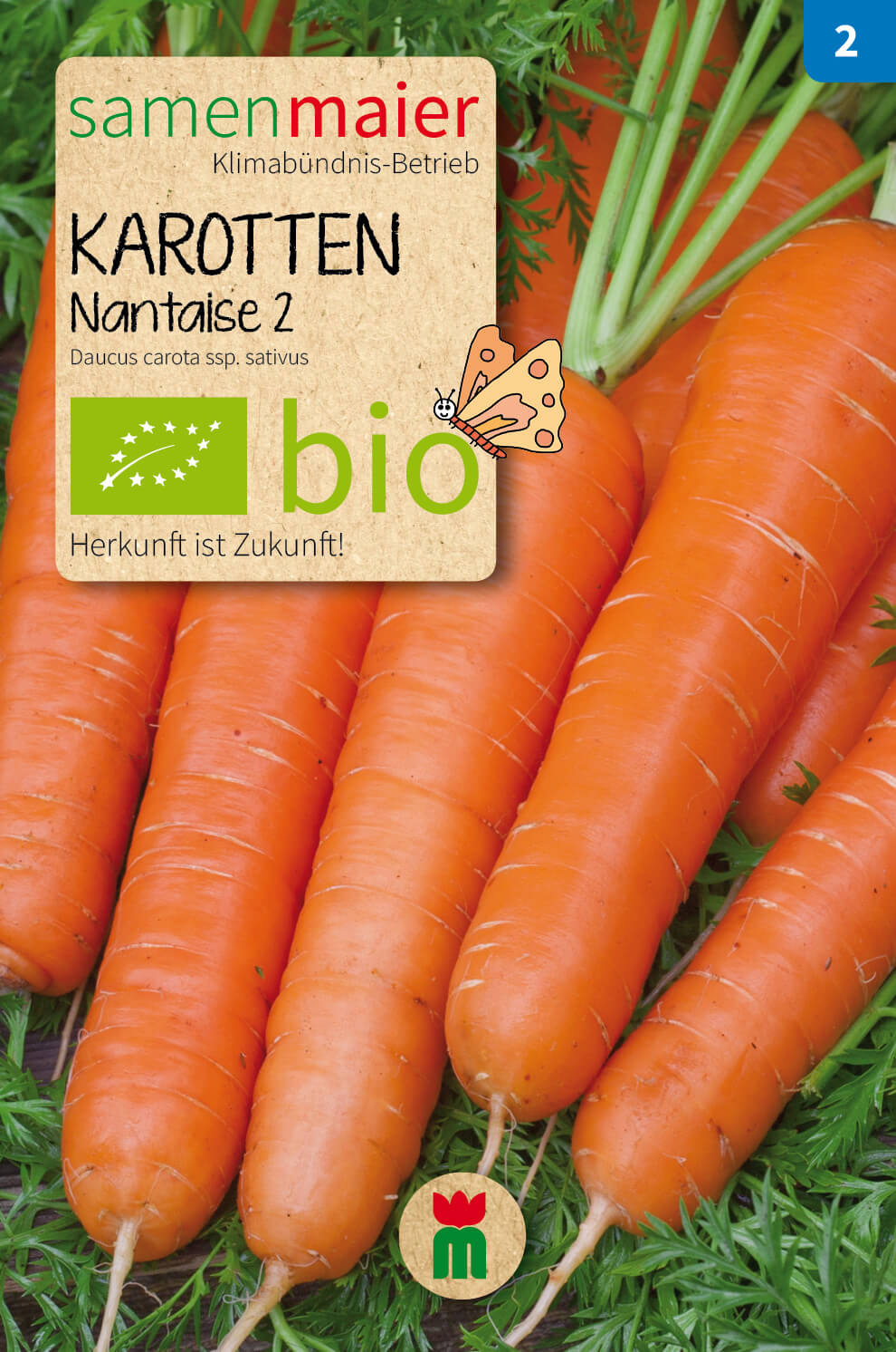  BIO Beet-Box "Für Suppenköche"