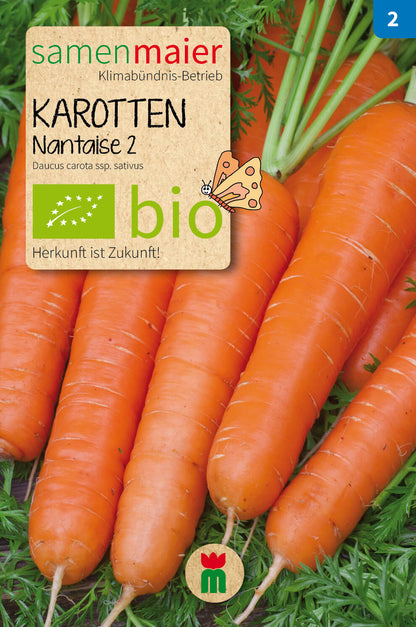  BIO Beet-Box "Für Suppenköche"