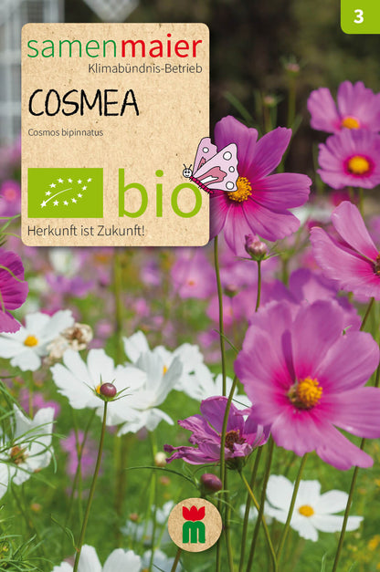  BIO Beet-Box "Für Einen Blumengruß"