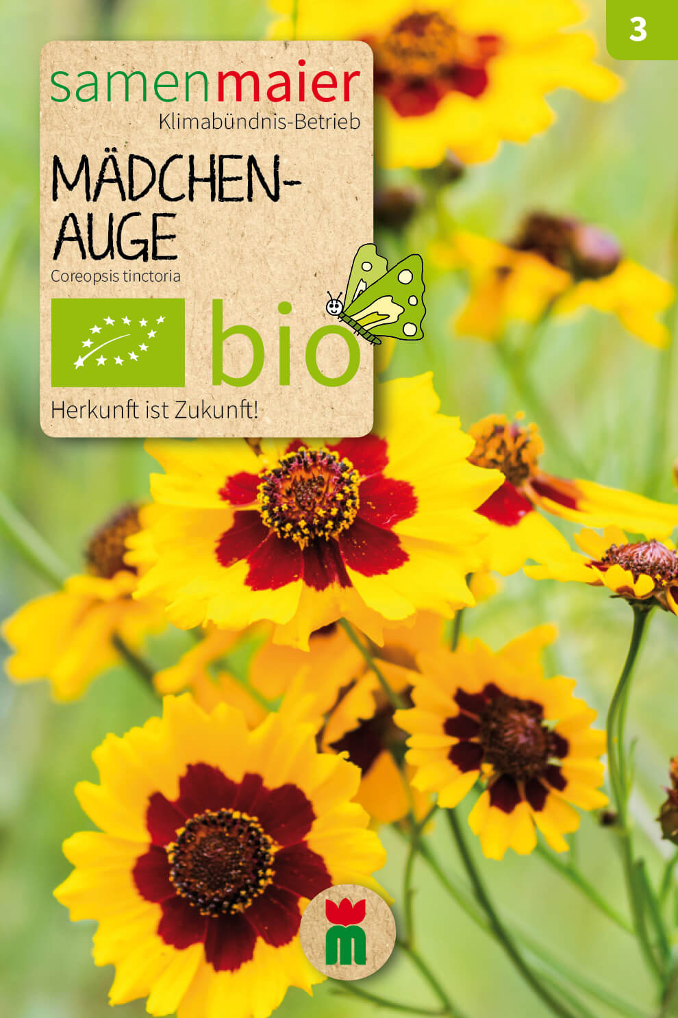  BIO Beet-Box "Für Einen Blumengruß"