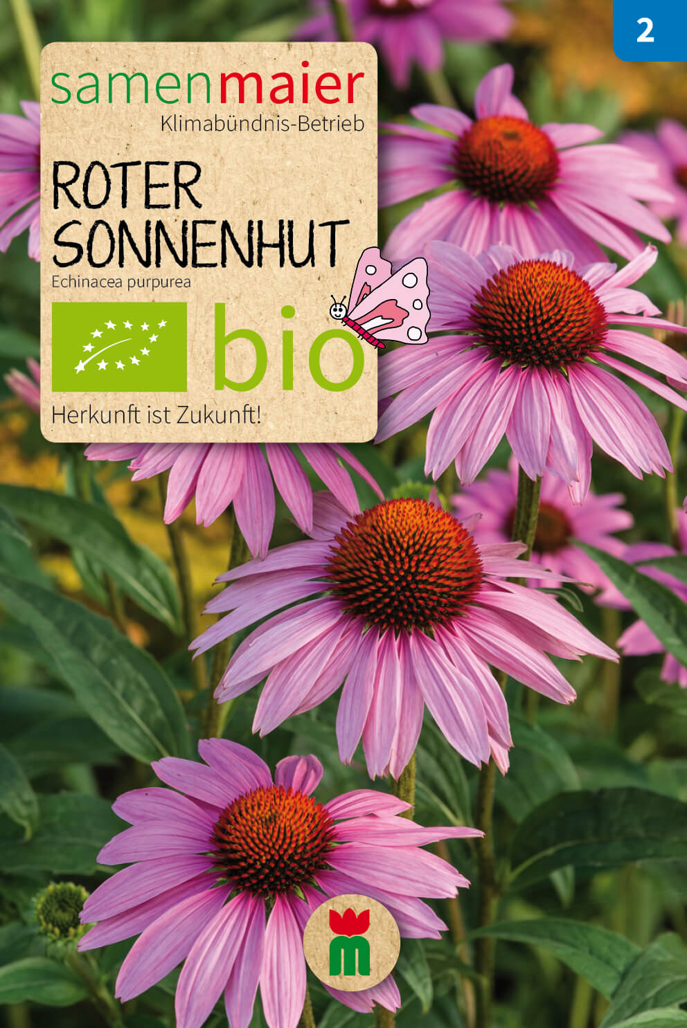  BIO Beet-Box "Für Einen Blumengruß"