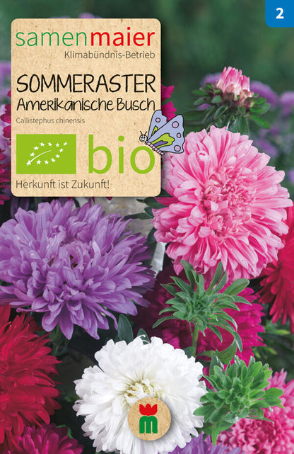  BIO Beet-Box "Für Einen Blumengruß"