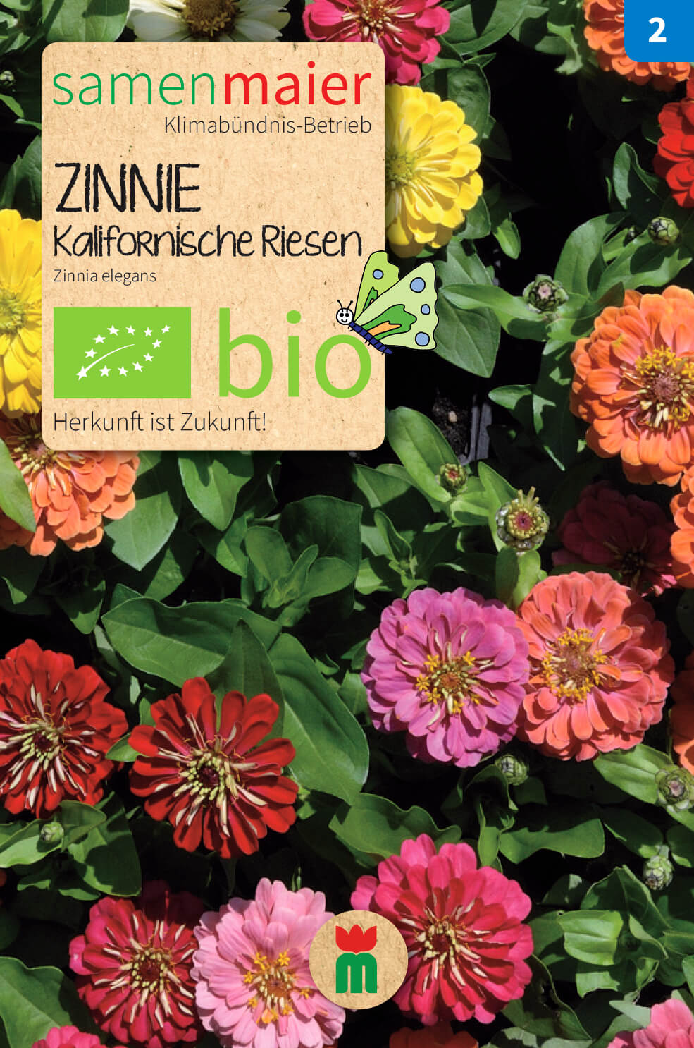  BIO Beet-Box "Für Einen Blumengruß"