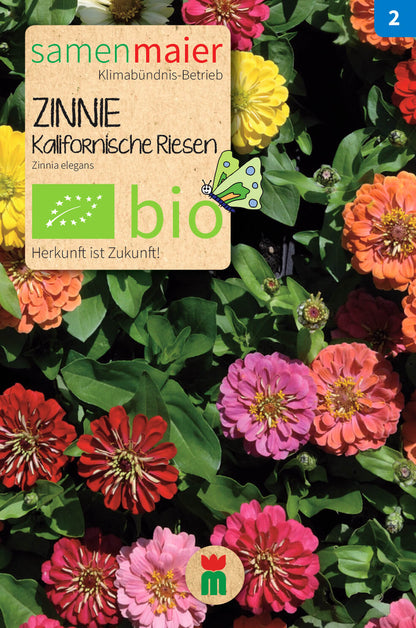  BIO Beet-Box "Für Einen Blumengruß"