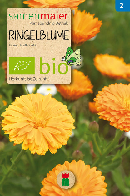  BIO Beet-Box "Blüten Aufs Teller!"