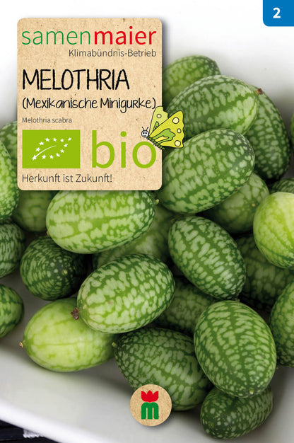  BIO Beet-Box "Für Kids"