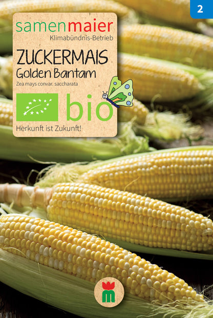  BIO Beet-Box "Für Kids"