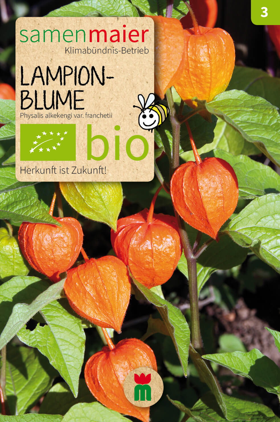  BIO Beet-Box "Ein Kleines Dankeschön" [MHD 12/2025]
