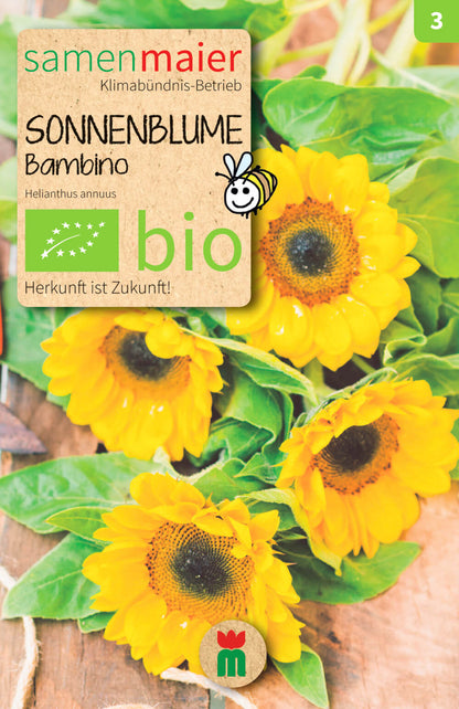  BIO Beet-Box "Ein Kleines Dankeschön" [MHD 12/2025]