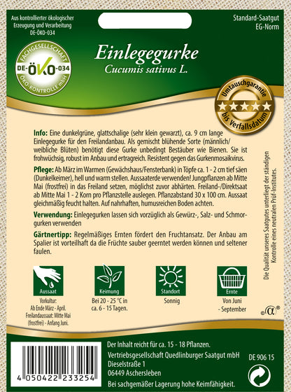 Bio-Einlegegurke Dunkelgrün