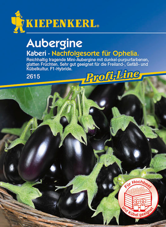  Aubergine Kaberi (TSX 250) F1
