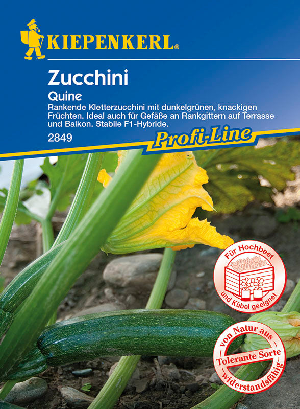  Zucchini Quine F1