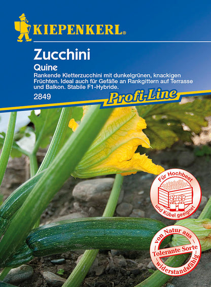  Zucchini Quine F1