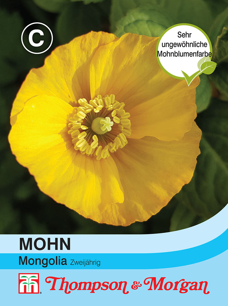  Mohn Mongolia [MHD 12/2025]