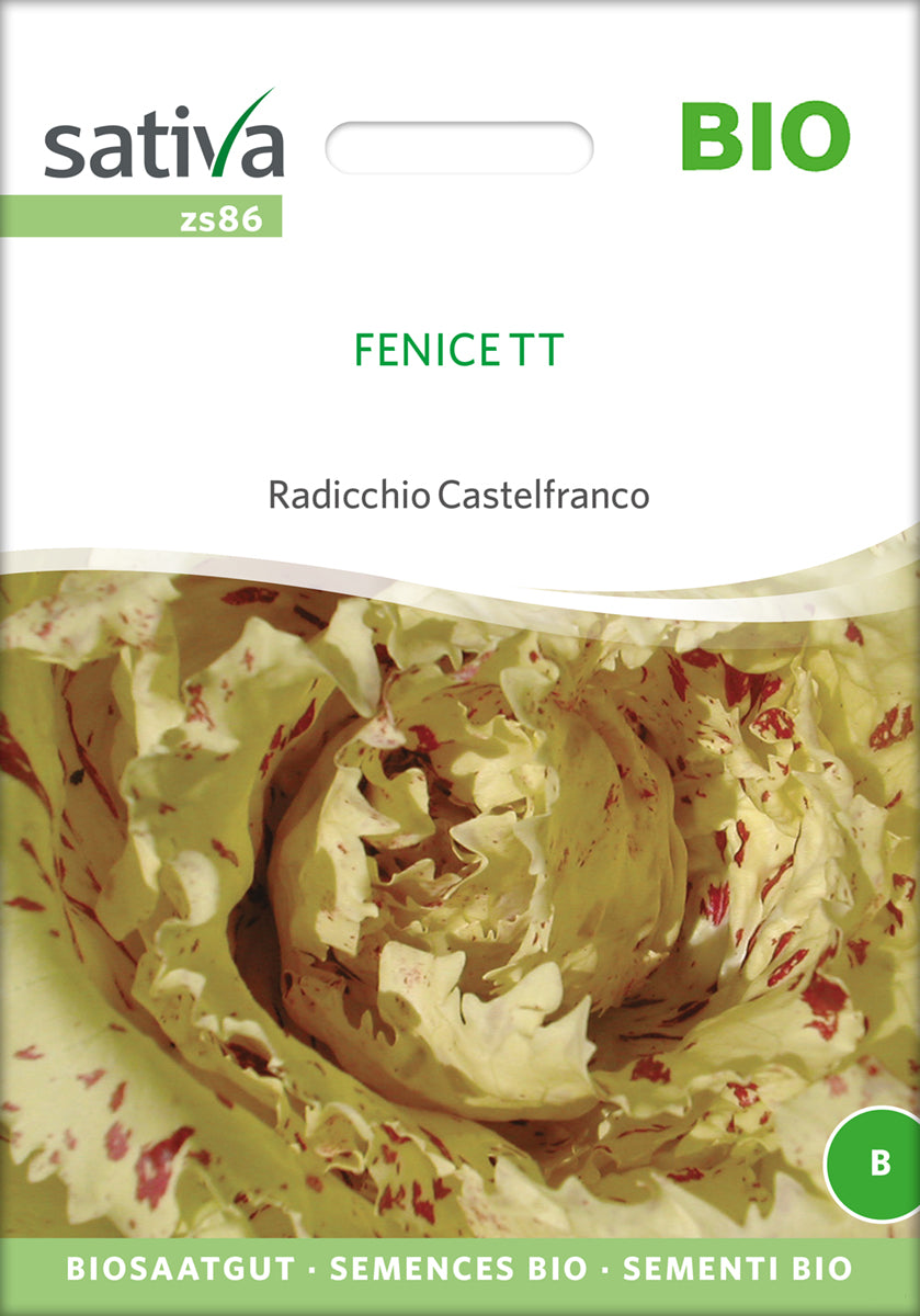  BIO Radicchio Castelfranco Fenice