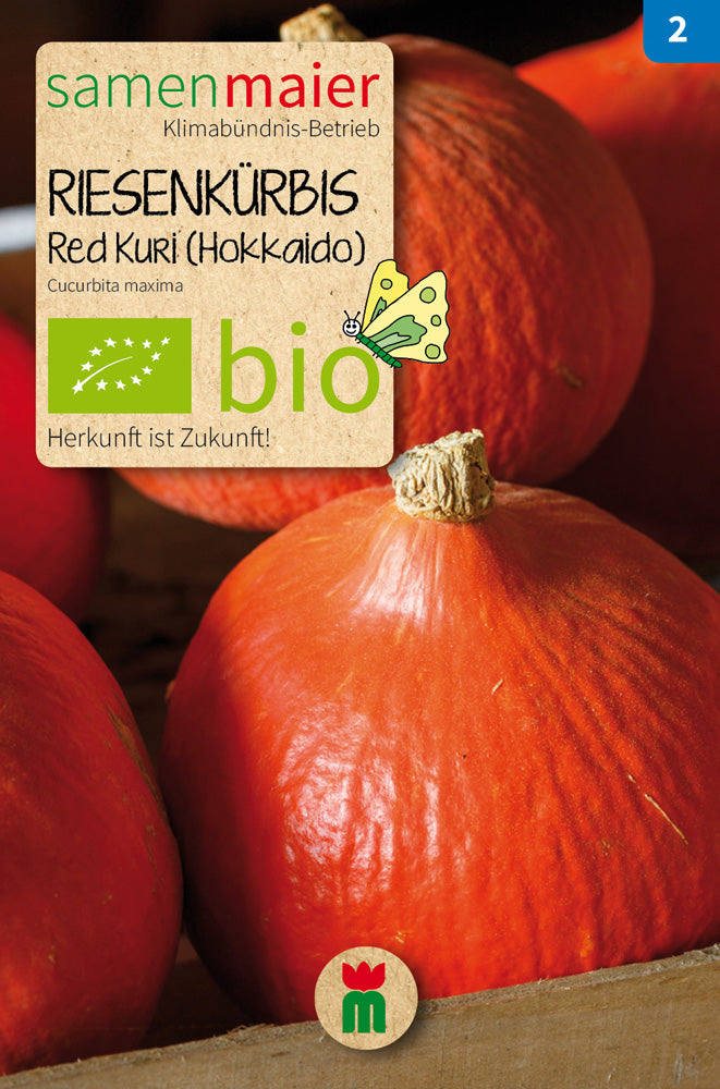  BIO Kürbis Red Kuri