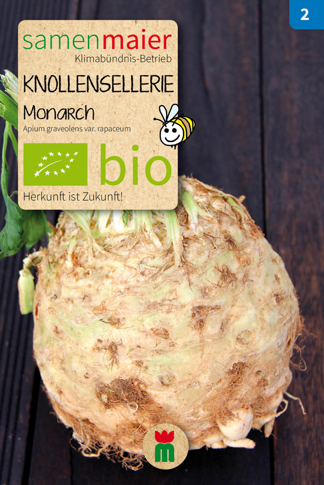  BIO Knollensellerie Monarch