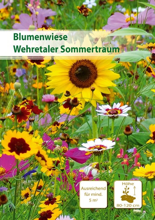  Wehretaler Sommertraum 5 M²