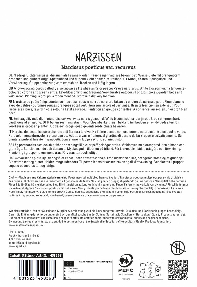  Botanische Narzisse Poeticus Recurcus (5 Stück)
