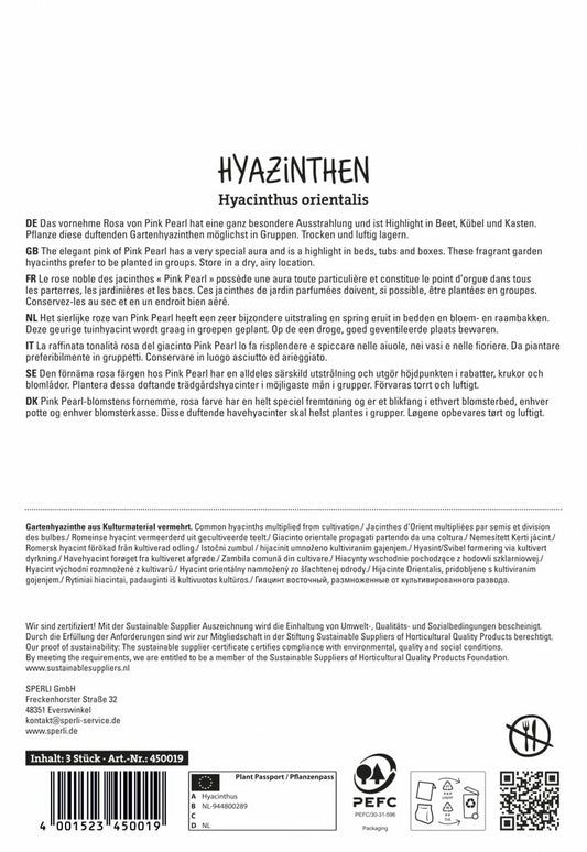  Hyazinthe Pink Pearl (3 Stück)