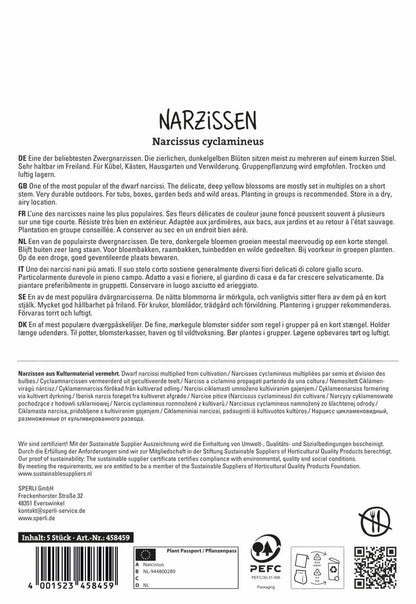  Botanische Narzisse Tete A Tete (5 Stück)