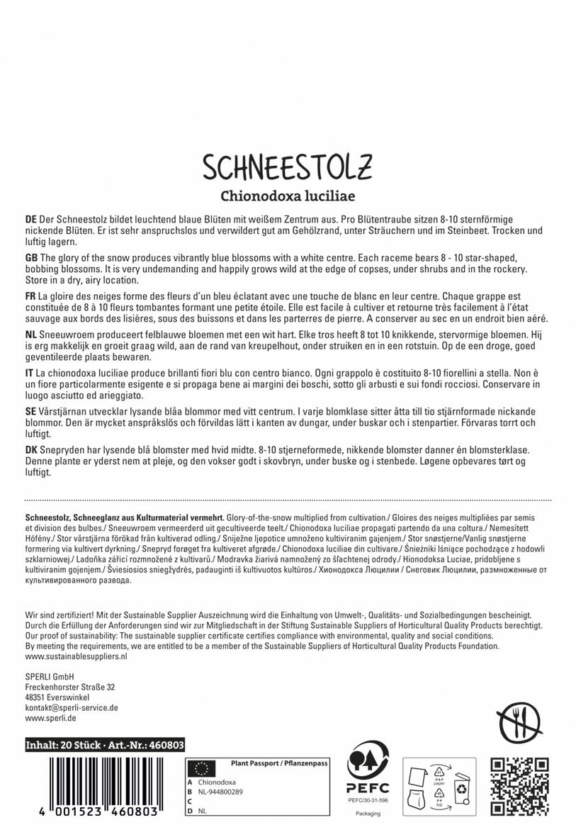  Sternhyazinthe Luciliae (20 Stück)