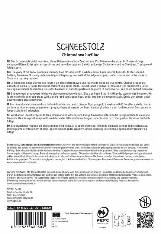  Sternhyazinthe Luciliae (20 Stück)