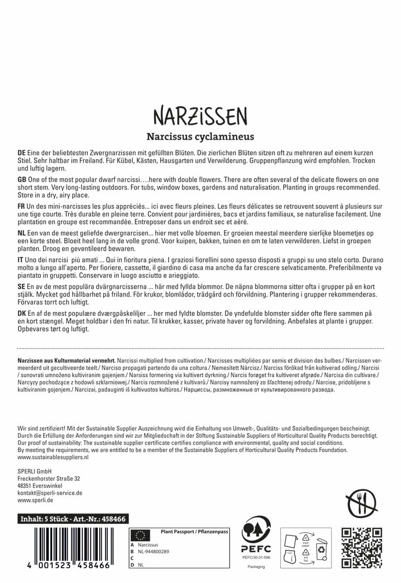 Botanische Narzisse Tete Boucle (5 Stück)