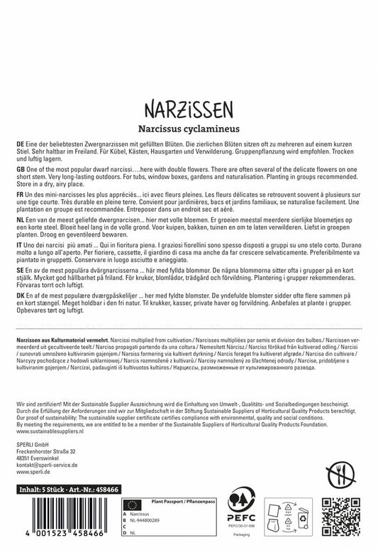  Botanische Narzisse Tete Boucle (5 Stück)
