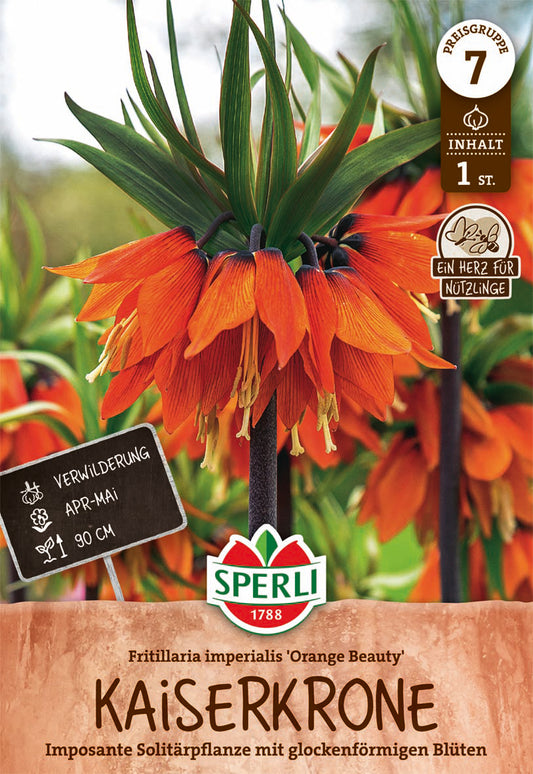  Kaiserkrone Orange Beauty (1 Stück)