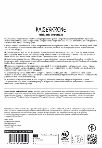  Kaiserkrone Orange Beauty (1 Stück)