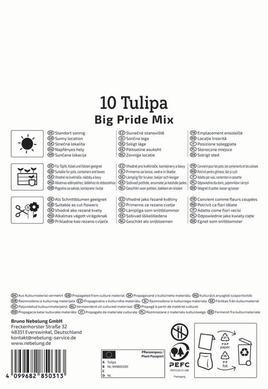  Darwin-Hybrid-Tulpen Big Pride Mix (10 Stück)