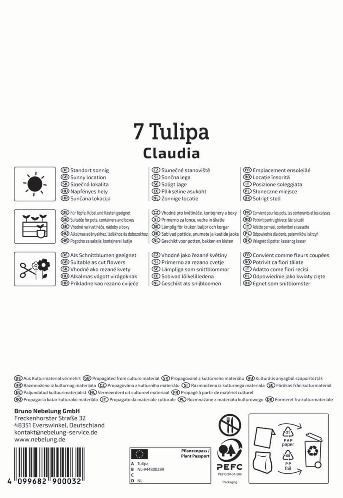  Lilienblütige Tulpe Claudia (7 Stück)