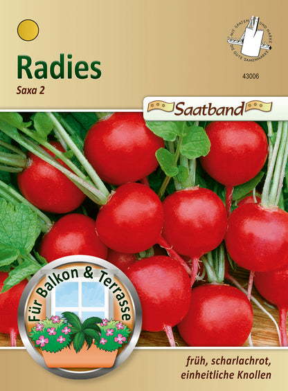  Radies Saxa 2 (Saatband)