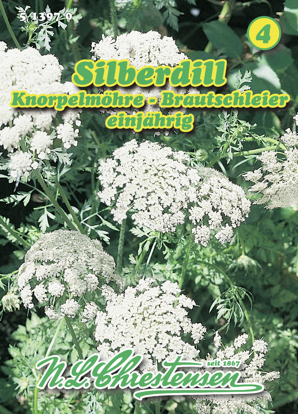  Silberdill Brautschleier Knorpelmöhre