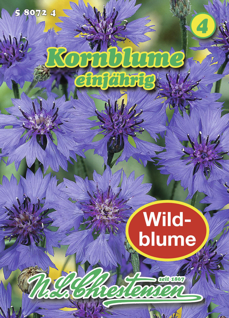  Kornblume