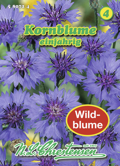  Kornblume