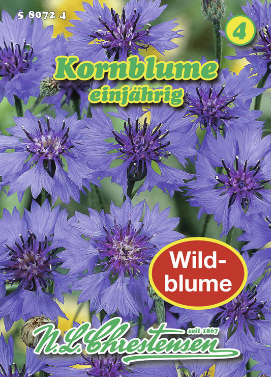  Kornblume