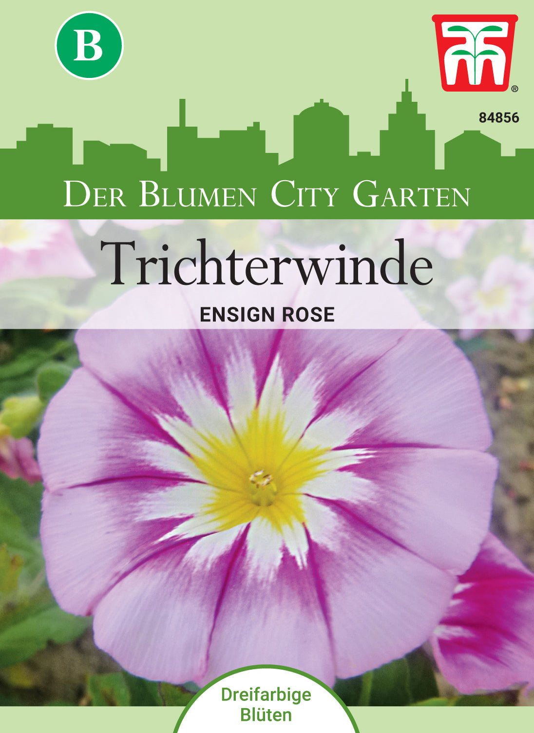  Trichterwinde Ensign Rose