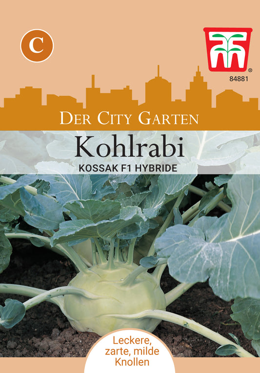 Kohlrabi Kossa F1-Hybride